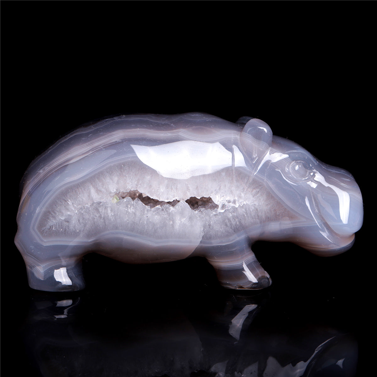 crystal hippo
