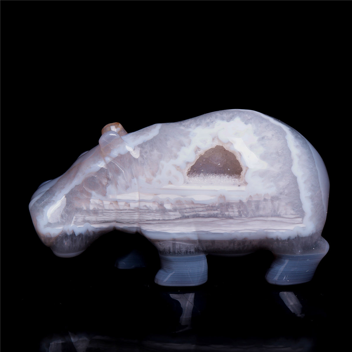 crystal hippo