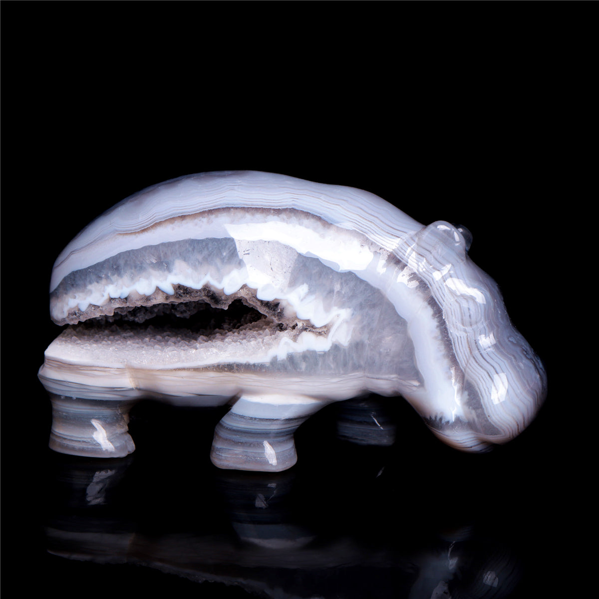 crystal hippo