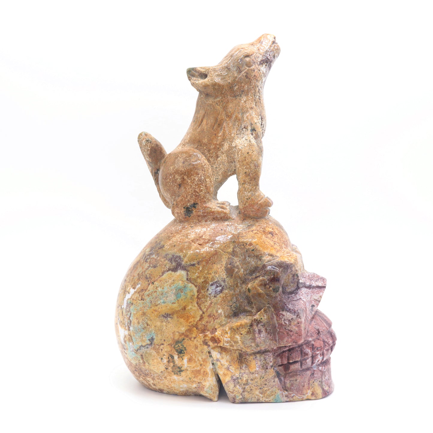 7.5" Natural Ocean Jasper Skull Wolf Figurine Realistic Crystal Carved Healing