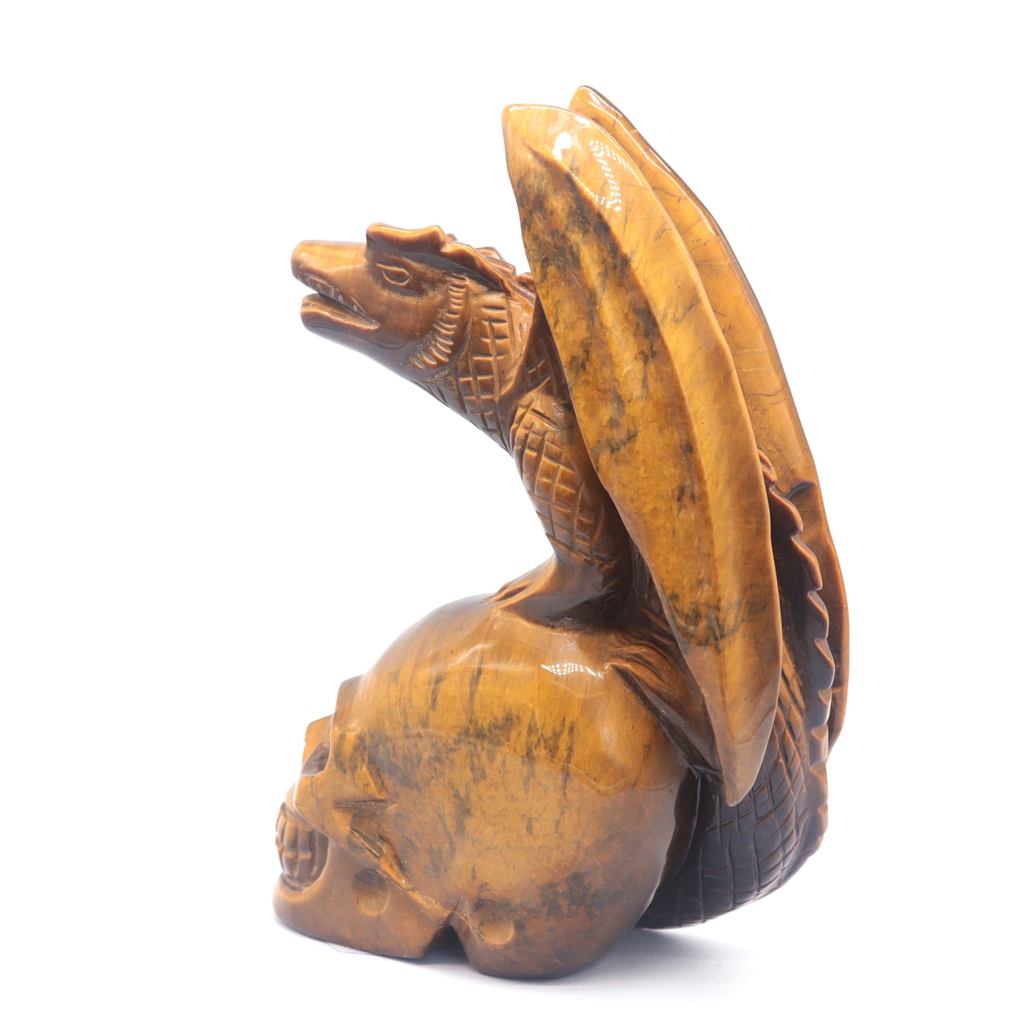 7" Natural HandCarved Tiger Eyes Stone Crystal Skull Flying Dragon Figurine