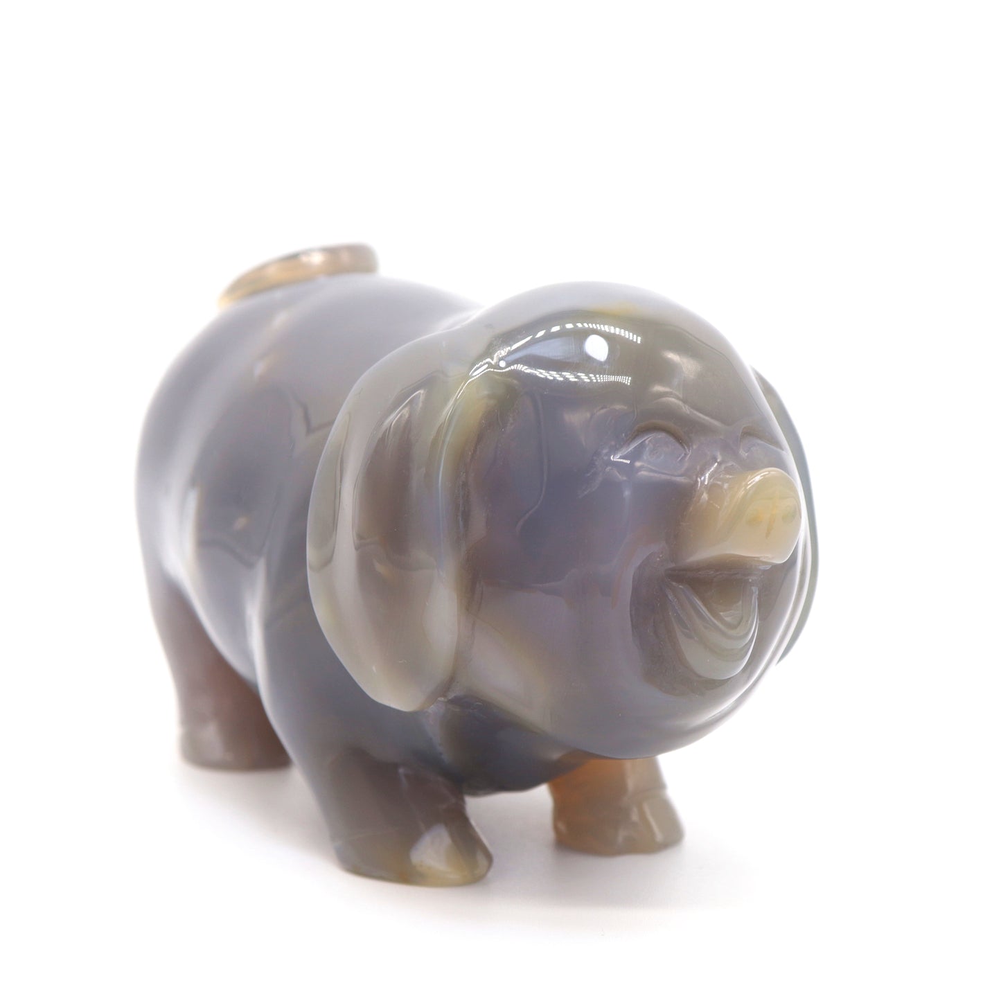 5.5" Hand Carved Druzy Agate Pig Sculpture Crystal Animal Carving Quartz Healing