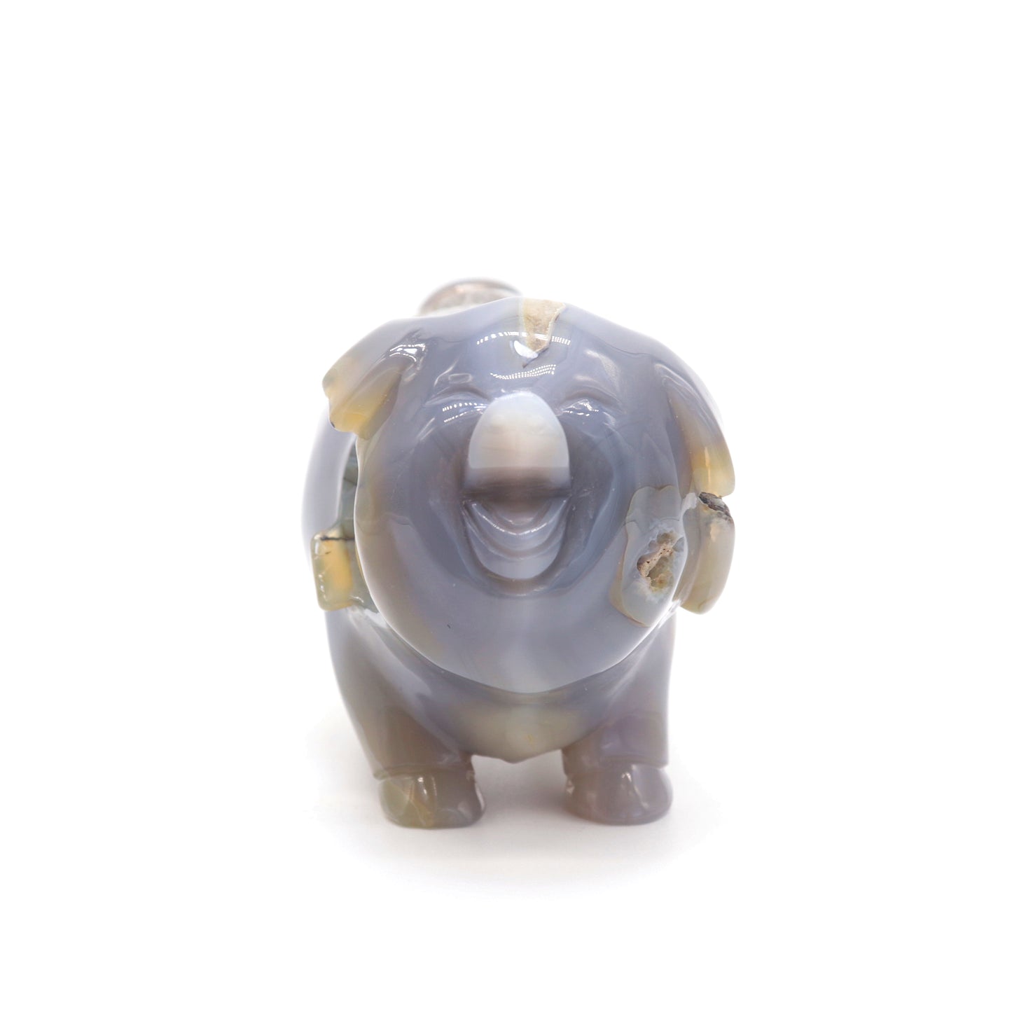 5" Hand Carved Druzy Agate Crystal Pig Figurine Quartz Healing