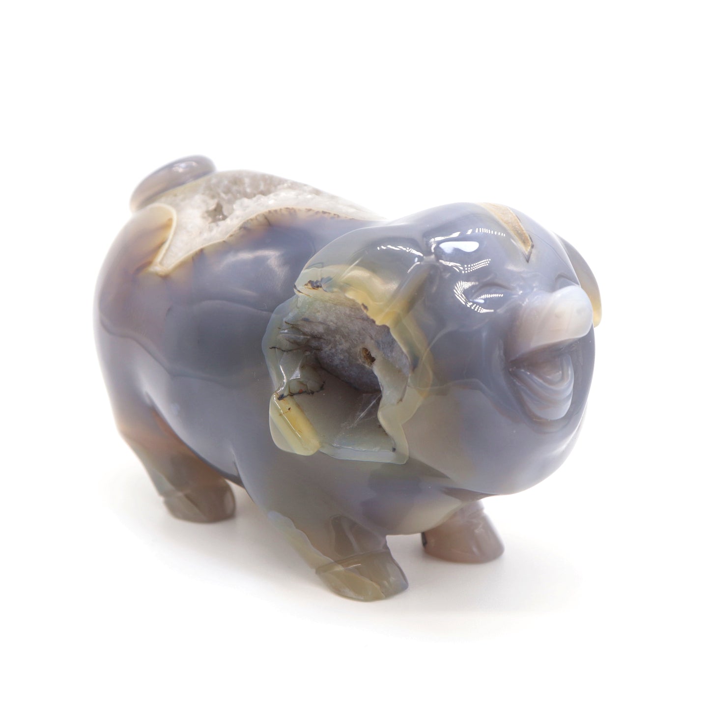5" Hand Carved Druzy Agate Crystal Pig Figurine Quartz Healing