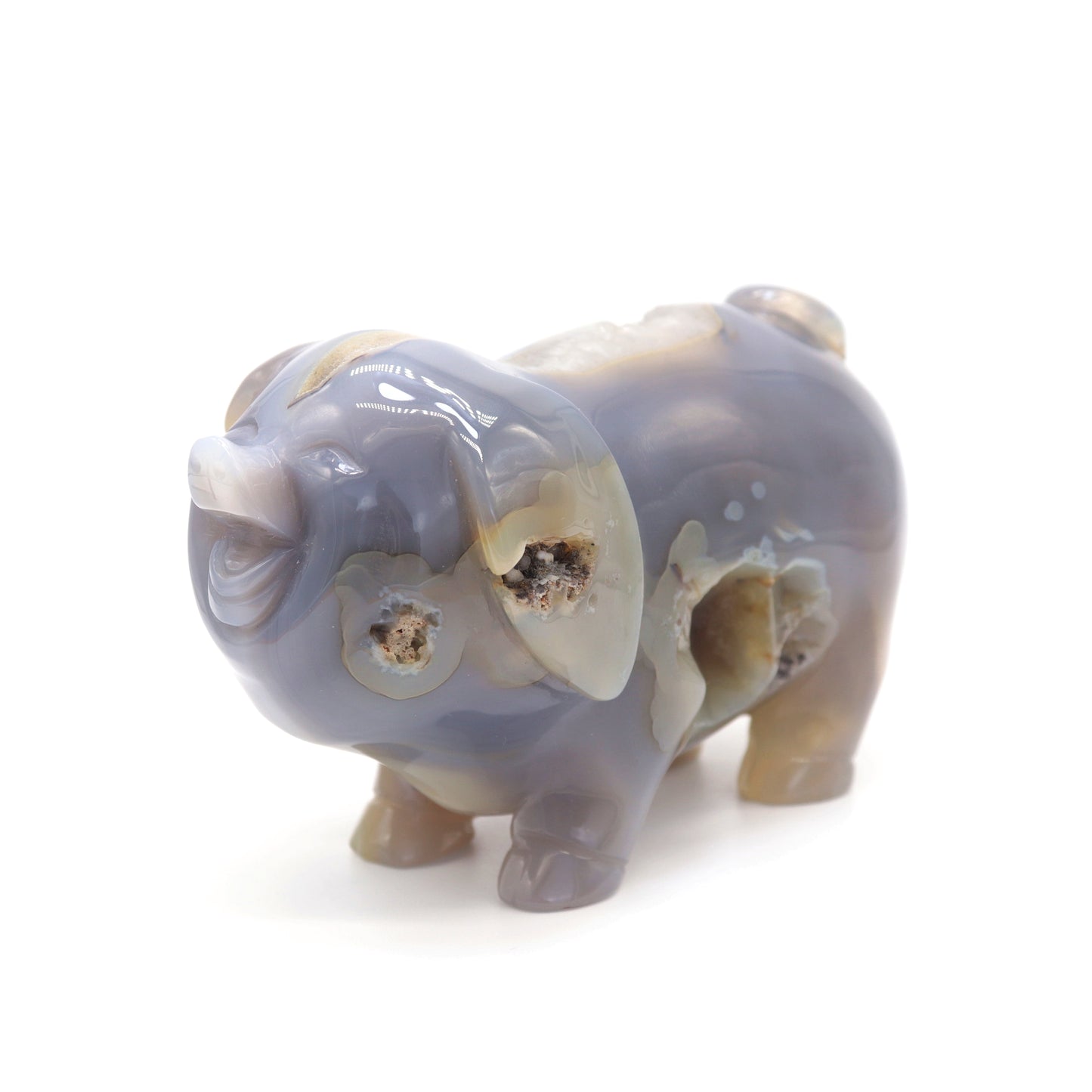 5" Hand Carved Druzy Agate Crystal Pig Figurine Quartz Healing