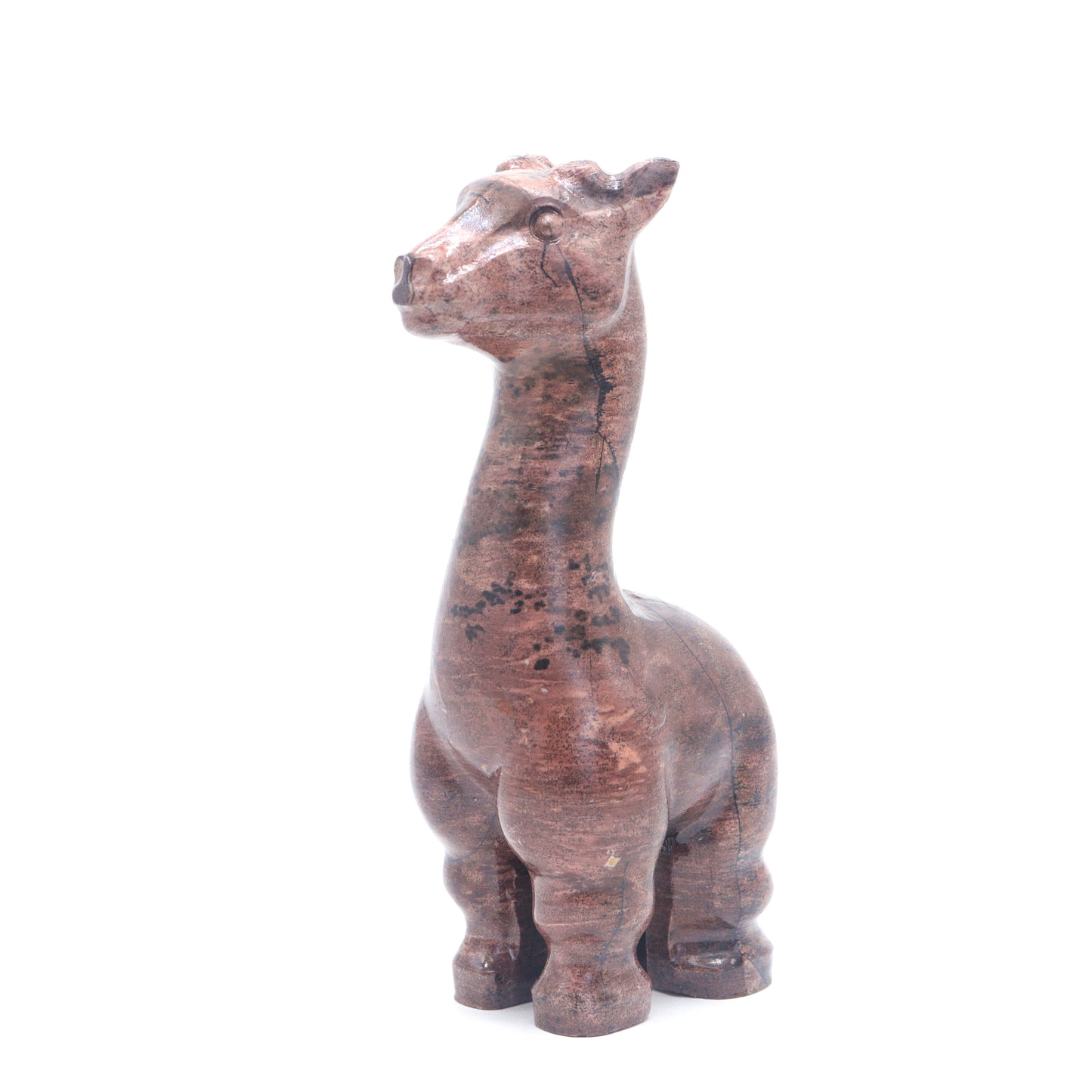 Jasper Giraffe