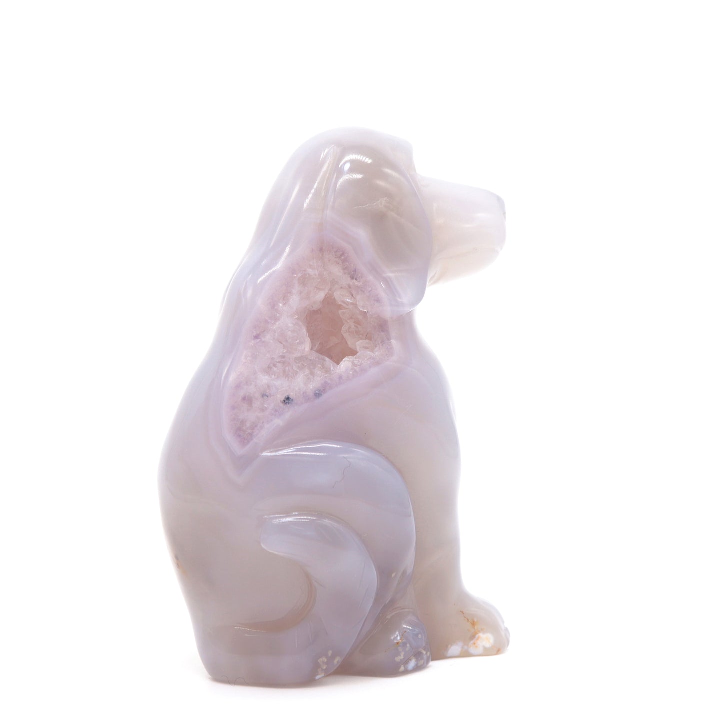 druzy agate dog