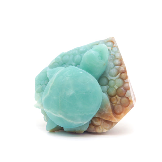 Amazonite Turtle