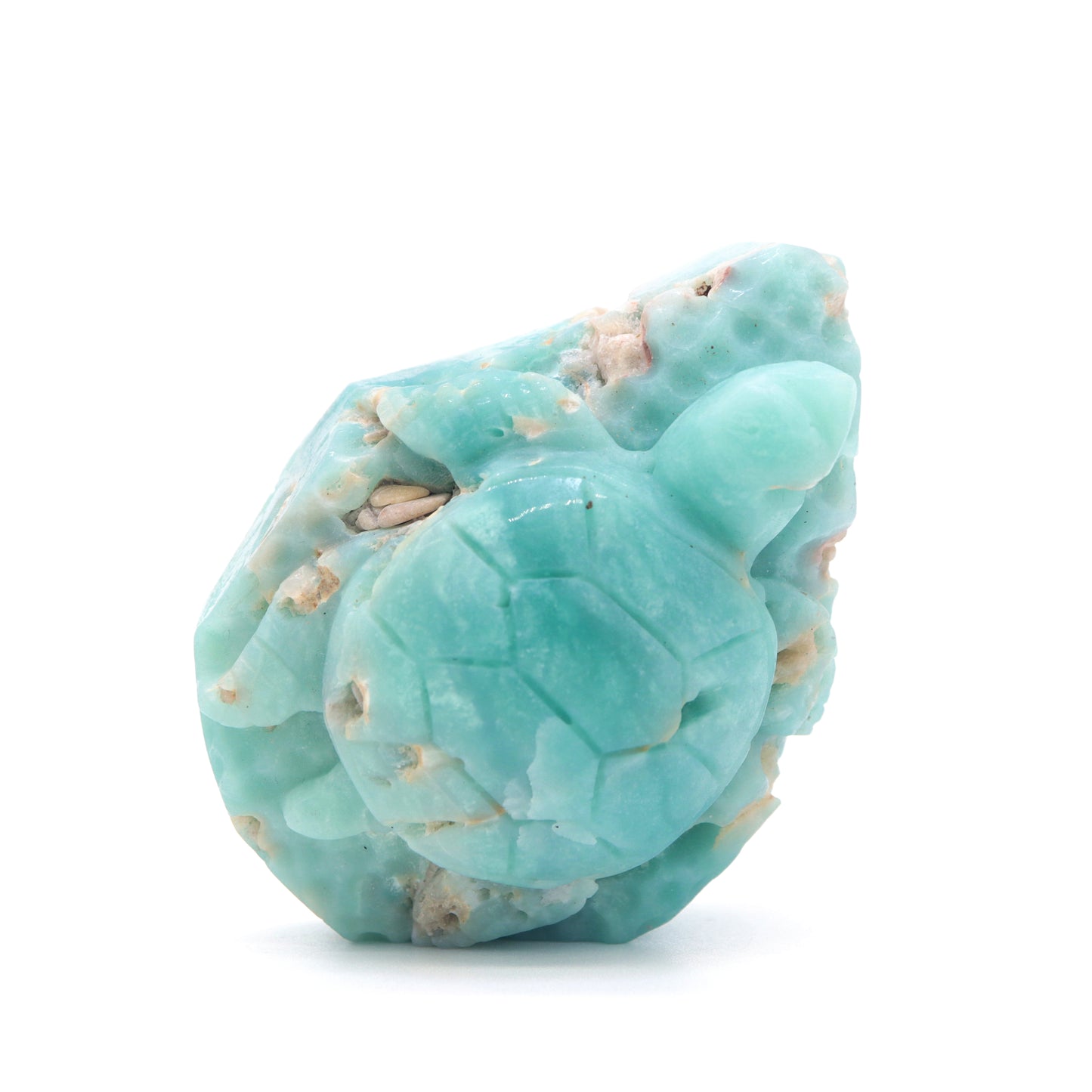 Amazonite Turtle