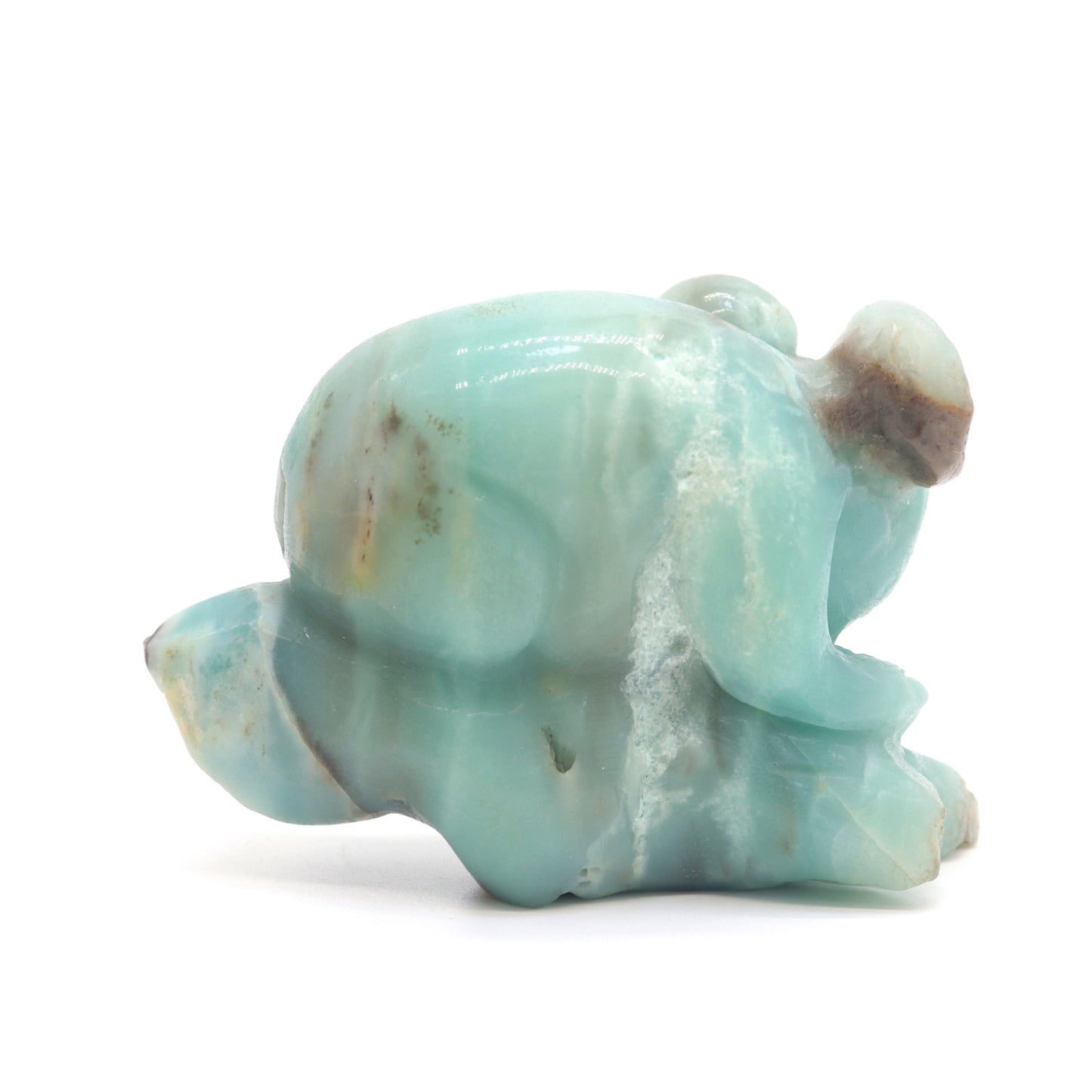 5" Natural Amazonite Koala Caribbean Calcite Figurine Crystal Healing Quartz