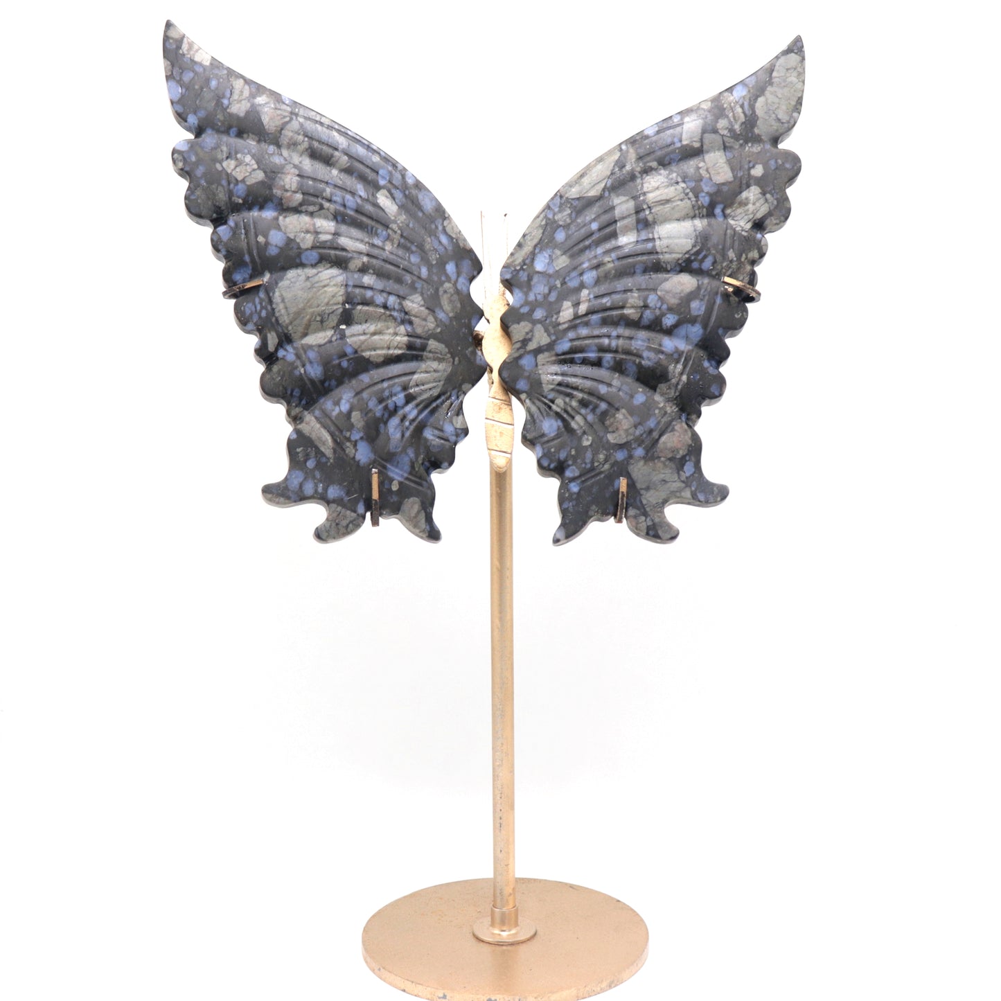Butterfly wings