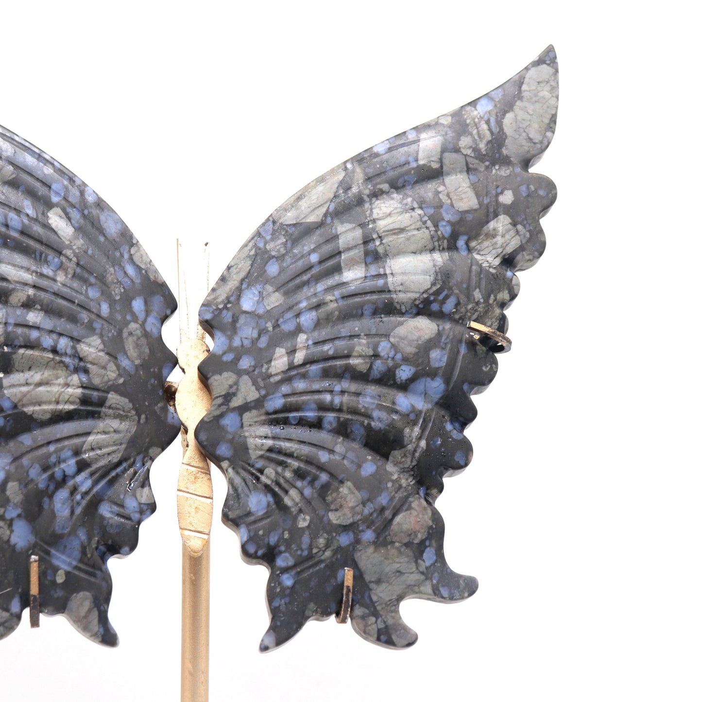 Natural Glaucophane Crystal Butterfly wings Quartz Healing + stand 1pc