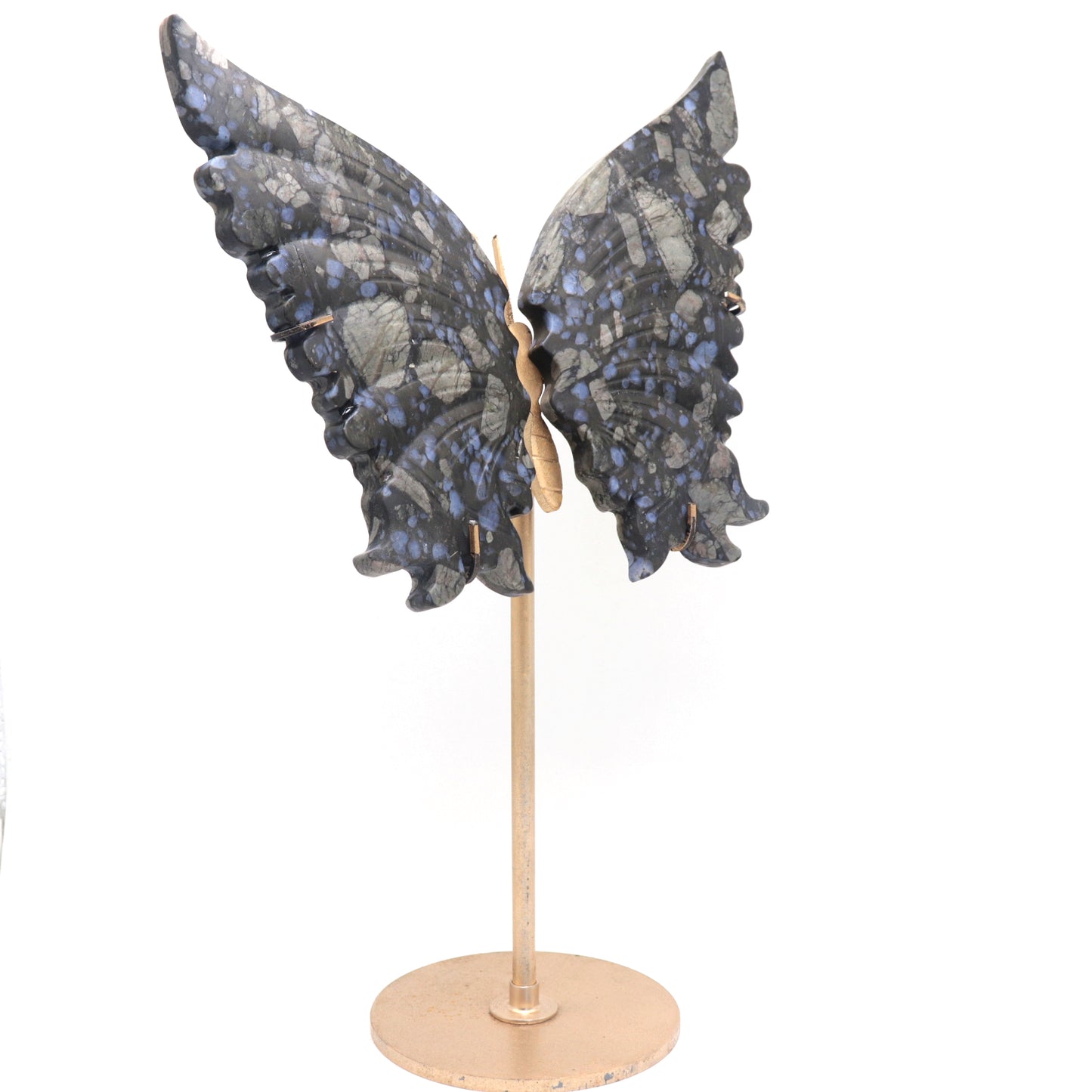 Natural Glaucophane Crystal Butterfly wings Quartz Healing + stand 1pc