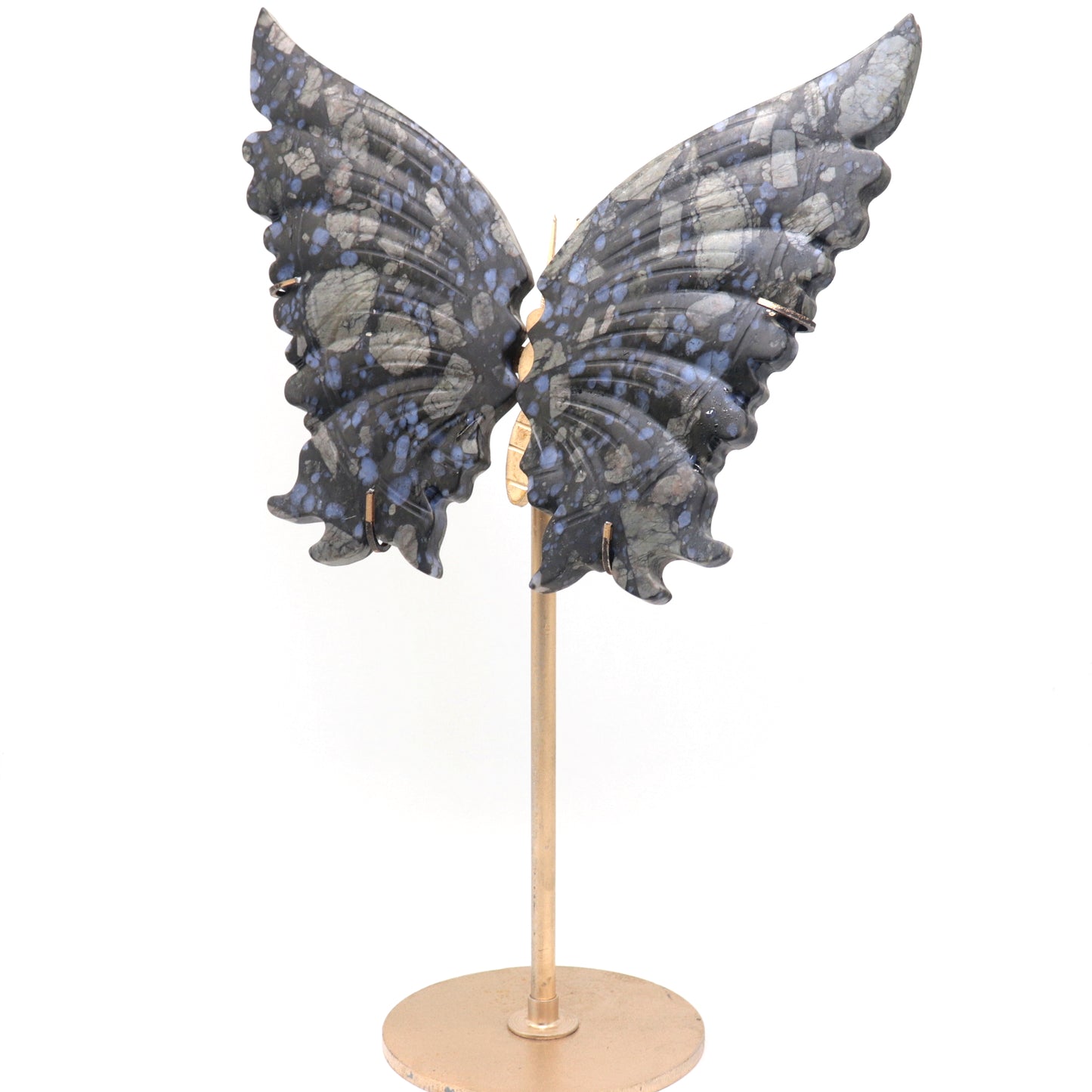 Natural Glaucophane Crystal Butterfly wings Quartz Healing + stand 1pc