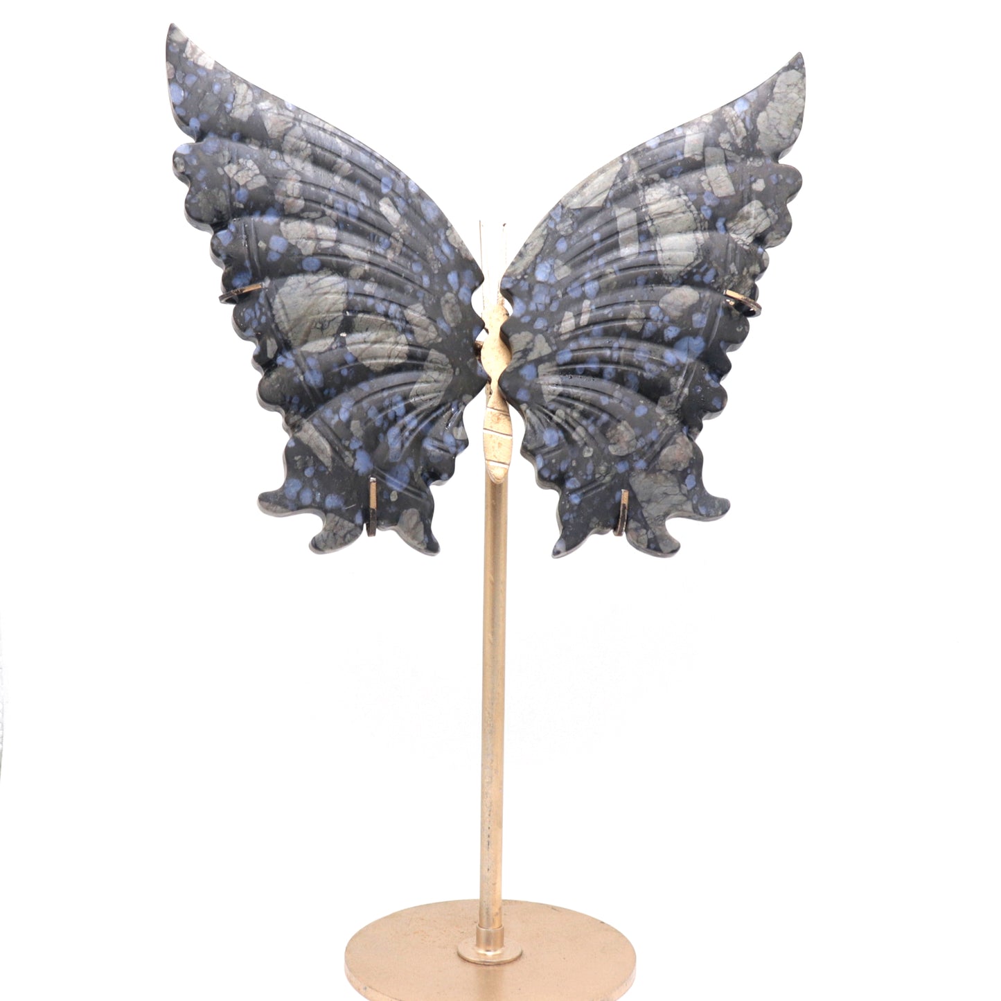 Natural Glaucophane Crystal Butterfly wings Quartz Healing + stand 1pc