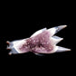 10" Agate Amethyst Cluster Hand Carved Dragon Head Sculpture, Crystal Healing - crystaltreasure