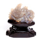 11" Amethyst Agate Geode Crystal Dragon Sphere Sculpture Realistic Quartz Arts - crystaltreasure