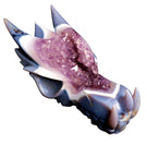crystal dragon head
