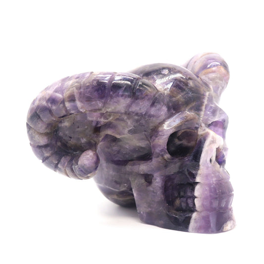 1.9lb Dream Amethyst HandCarved Crystal Horned Skull Figurine - crystaltreasure