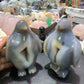Pair of penguin