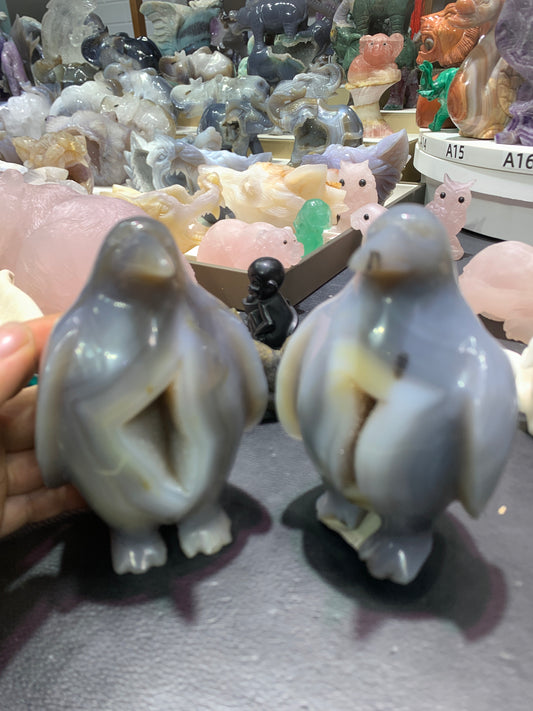 Pair of penguin