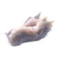 7" Hand Carved Druzy Agate Dragon Head Sculpture Amethyst Geode Crystal Healing Reiki