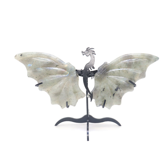 dragon wings sculpture