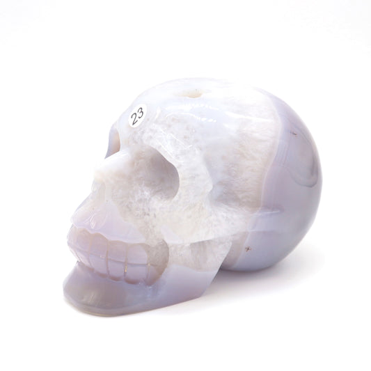 4.5" HandCarved Druzy agate Skull Crystal Healing Quartz Reiki Decorate Gift