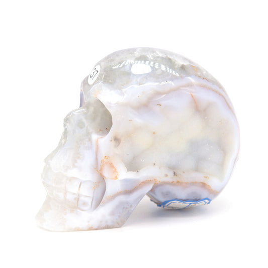 druzy agate skull