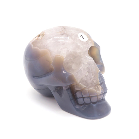 druzy agate skull