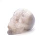 4" HandCarved Druzy agate Skull Crystal Healing Quartz Reiki Decorate Gift