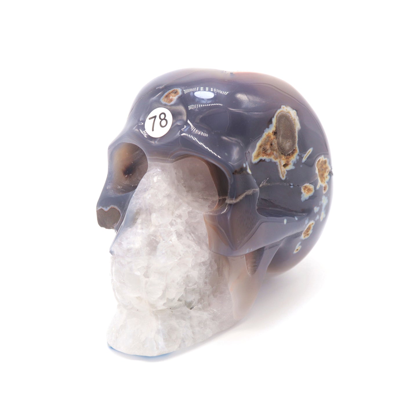 4" HandCarved Druzy agate Skull Crystal Healing Quartz Reiki Decorate Gift