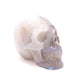 3.5" HandCarved Druzy agate Skull Crystal Healing Quartz Reiki Decorate Gift