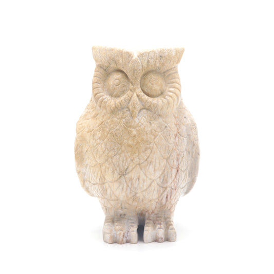 coral jade owl