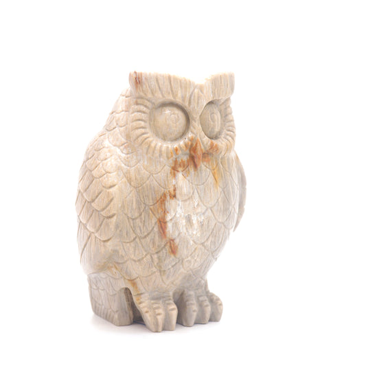 coral jade owl