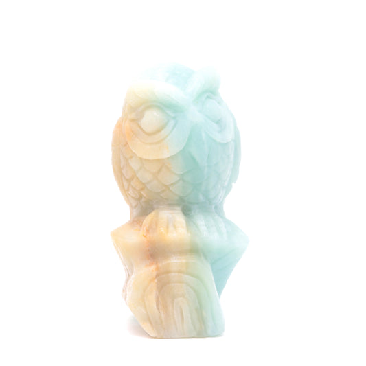 4.1" HandCarved Amazonite Crystal Owl Caribbean Calcite Quartz Reiki Gift