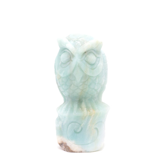 5" HandCarved Amazonite Owl Caribbean Calcite Crystal Healing Quartz Reiki Decorate Gift