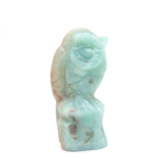 amazonite owl