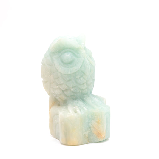 3.8" HandCarved Amazonite Crystal Owl Caribbean Calcite Quartz Reiki Decorate Gift