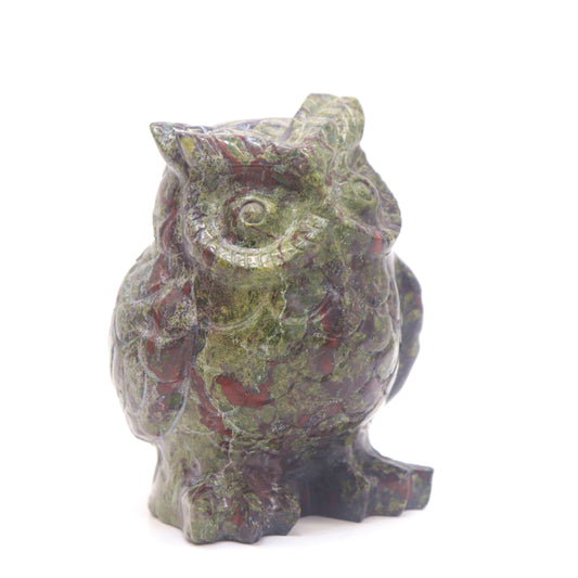 3.9" HandCarved Dragon Blood Stone Owl Crystal Healing Quartz Reiki Decorate Gift