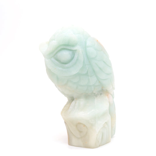 4.7" HandCarved Amazonite Owl Caribbean Calcite Crystal Healing Quartz Reiki Decorate Gift