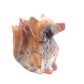 2.4lb HandCarved Ocean Jasper Nine Tail Fox Crystal Healing Quartz Reiki