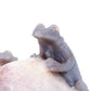 9.3" Agate Amethyst Geode Carved Lizard Elephant Sculpture Realistic Crystal Healing Quartz Decor