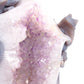 9.3" Agate Amethyst Geode Carved Lizard Elephant Sculpture Realistic Crystal Healing Quartz Decor