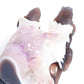 9.5" Agate Amethyst Geode Carved Lizard Skull Sculpture Realistic Crystal Healing Decor