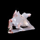 7" Flower Agate Carved Crystal Pegasus Sculpture Healing Quartz Decor