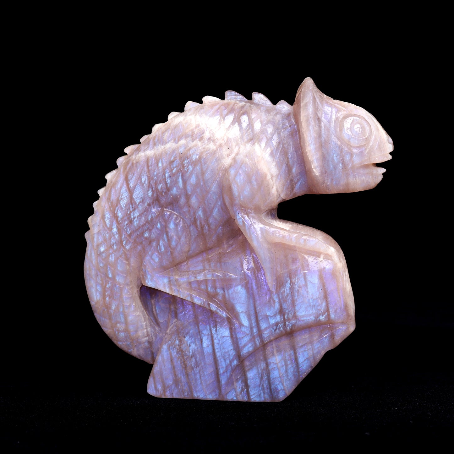 5" Moonstone Carved Chameleon lizard Figurine Realistic Crystal Healing Quartz Decor