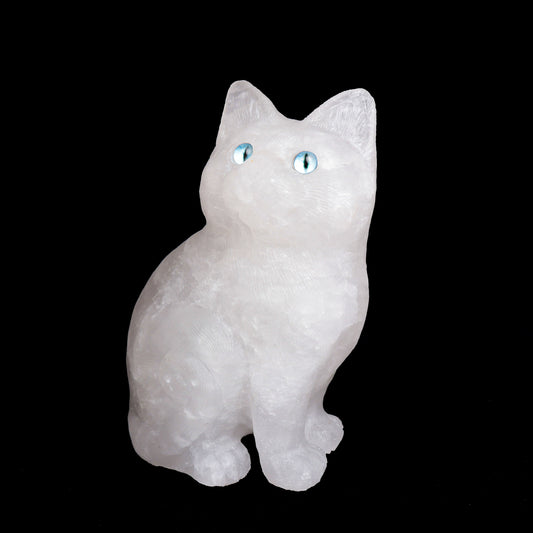 clean quartz cat