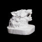 3.5" Howlite Crystal Wolf Head Figurine Realistic Healing Quartz Decor