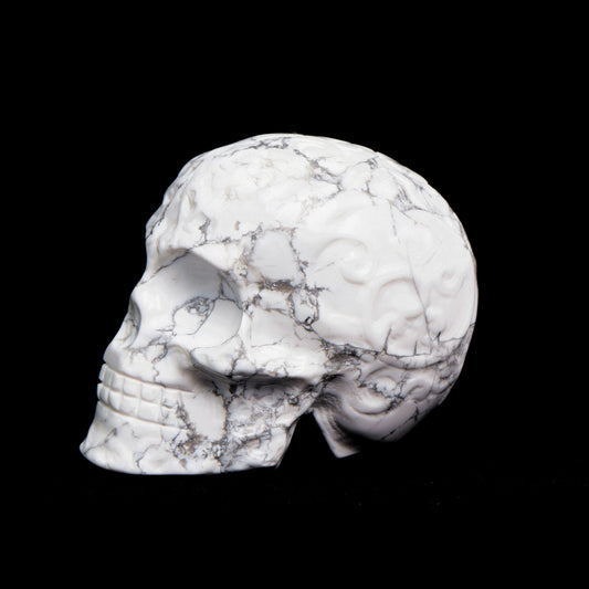 Howlite skull